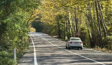 Bartın-Karabük Yolundaki Ağaç Tüneli: Sonbaharın Renk Cümbüşü