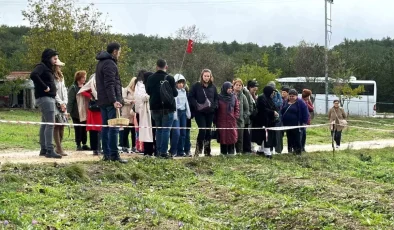 Safranbolu’da Safran Hasadı İçin Yoğun İlgi